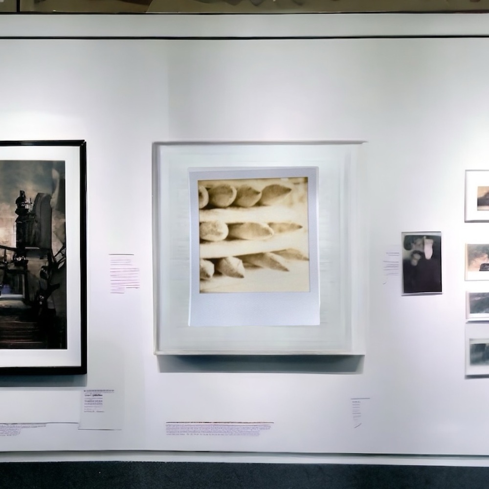 Paris Baguettes Bread Art Print Original Photography Professional Decor Wall - Picture 1 of 4